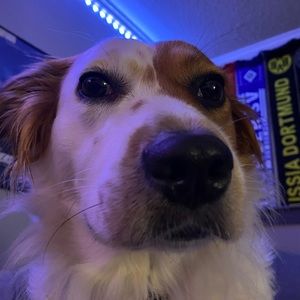 Meet your Posher, Christopher